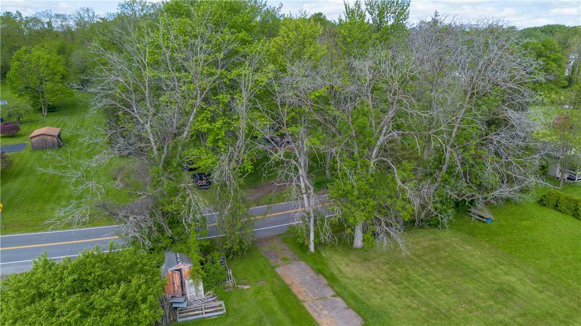 0 Lower Lake Road Seneca Falls, NY 13148 - Photo 8 of 20