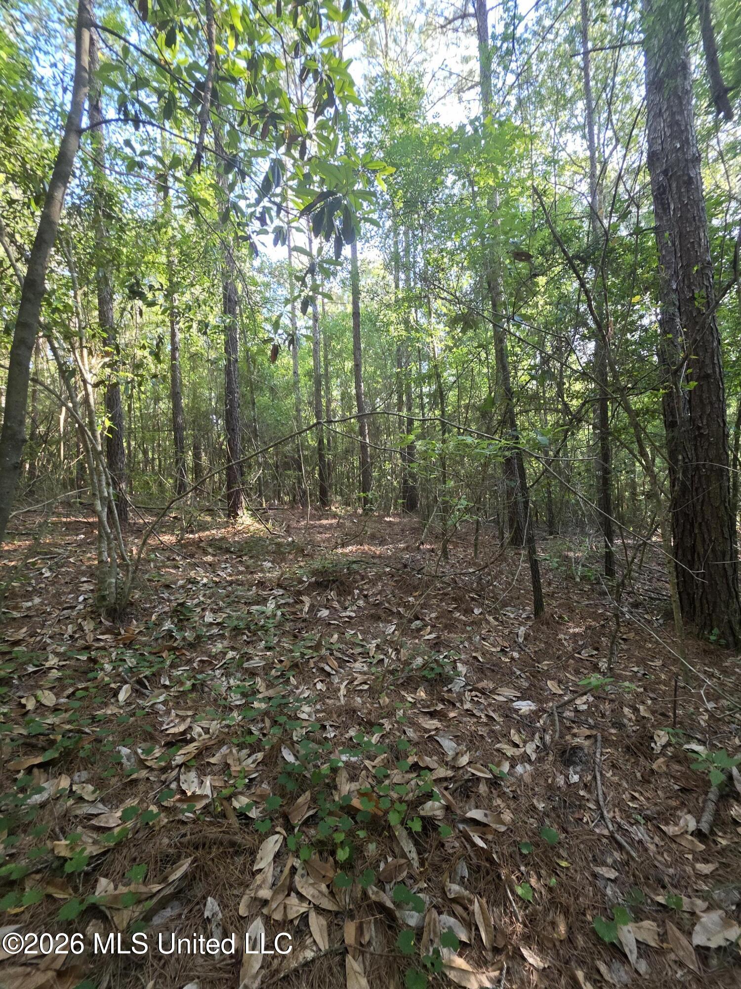 Hamilton Road Prentiss, MS 39474 - Photo 11 of 32 33007