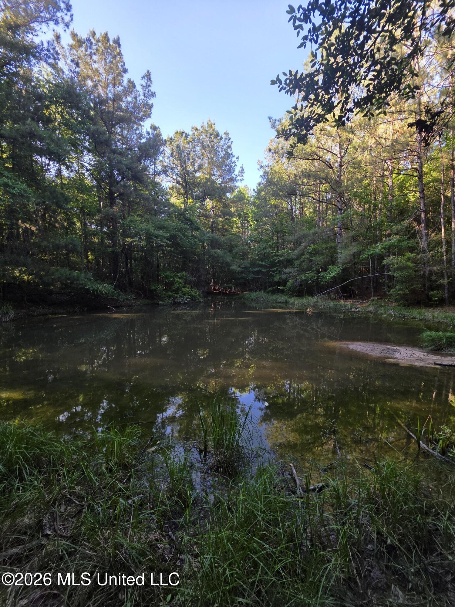 Hamilton Road Prentiss, MS 39474 - Photo 17 of 32 33035