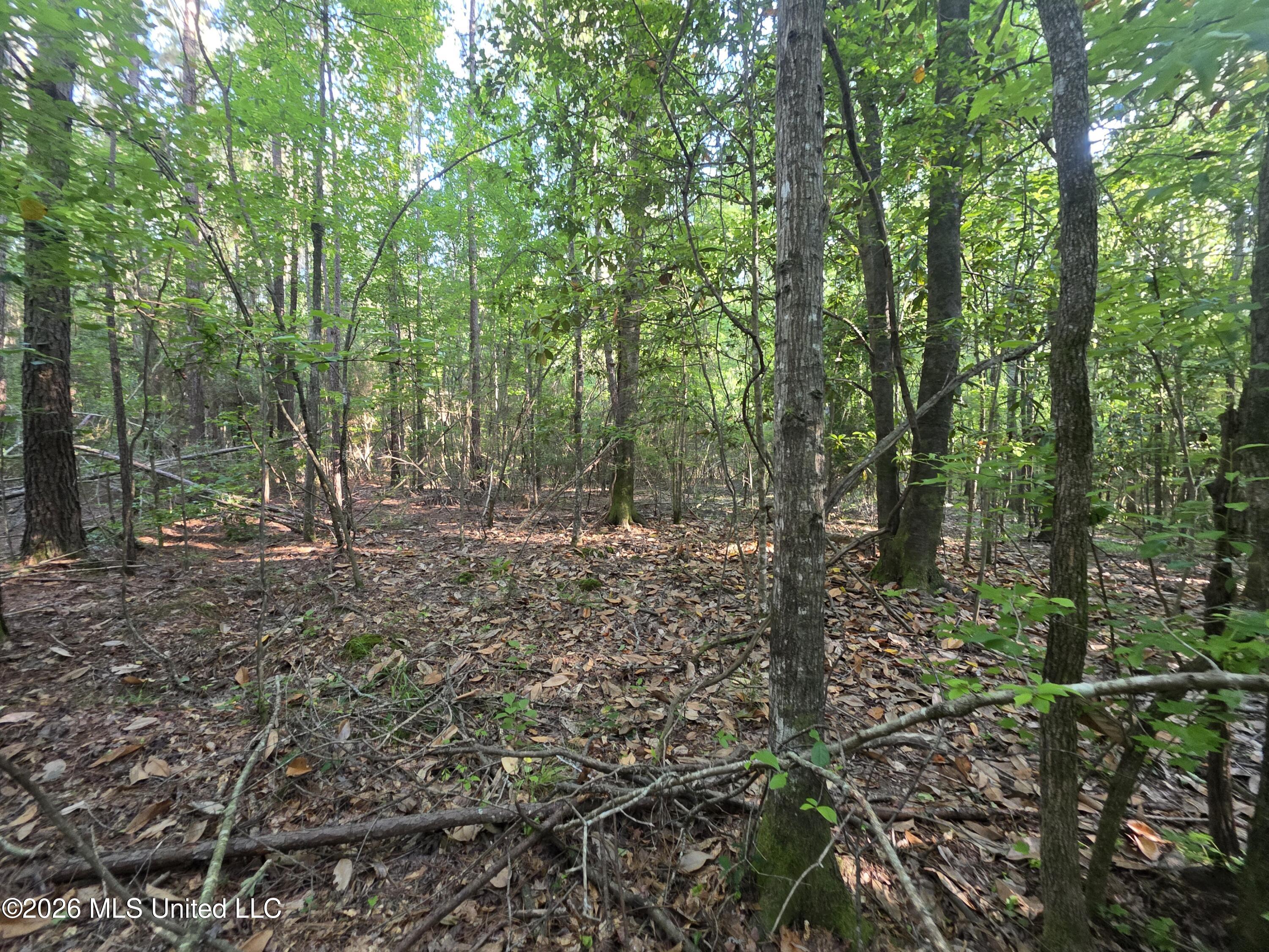 Hamilton Road Prentiss, MS 39474 - Photo 21 of 32 33053