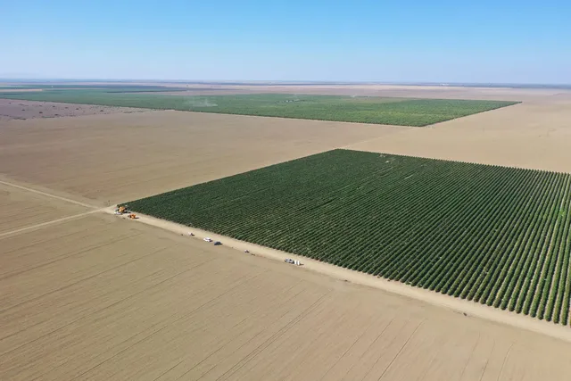 a view of a field with an ocean view