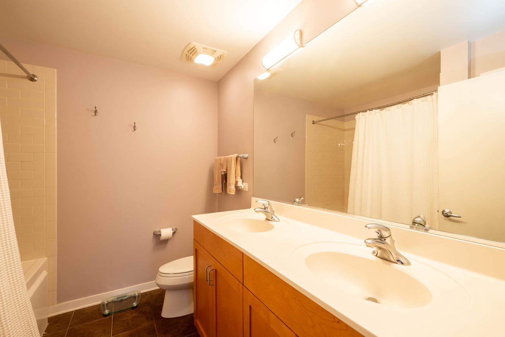 1075 West Roosevelt Road, Unit 201 Chicago, IL 60608 - Photo 10 of 21 a bathroom with a sink vanity mirror and toilet
