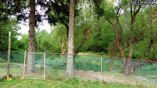 12965 Caves Road Chesterland, OH 44026 - Photo 18 of 24 Gallery Image 18