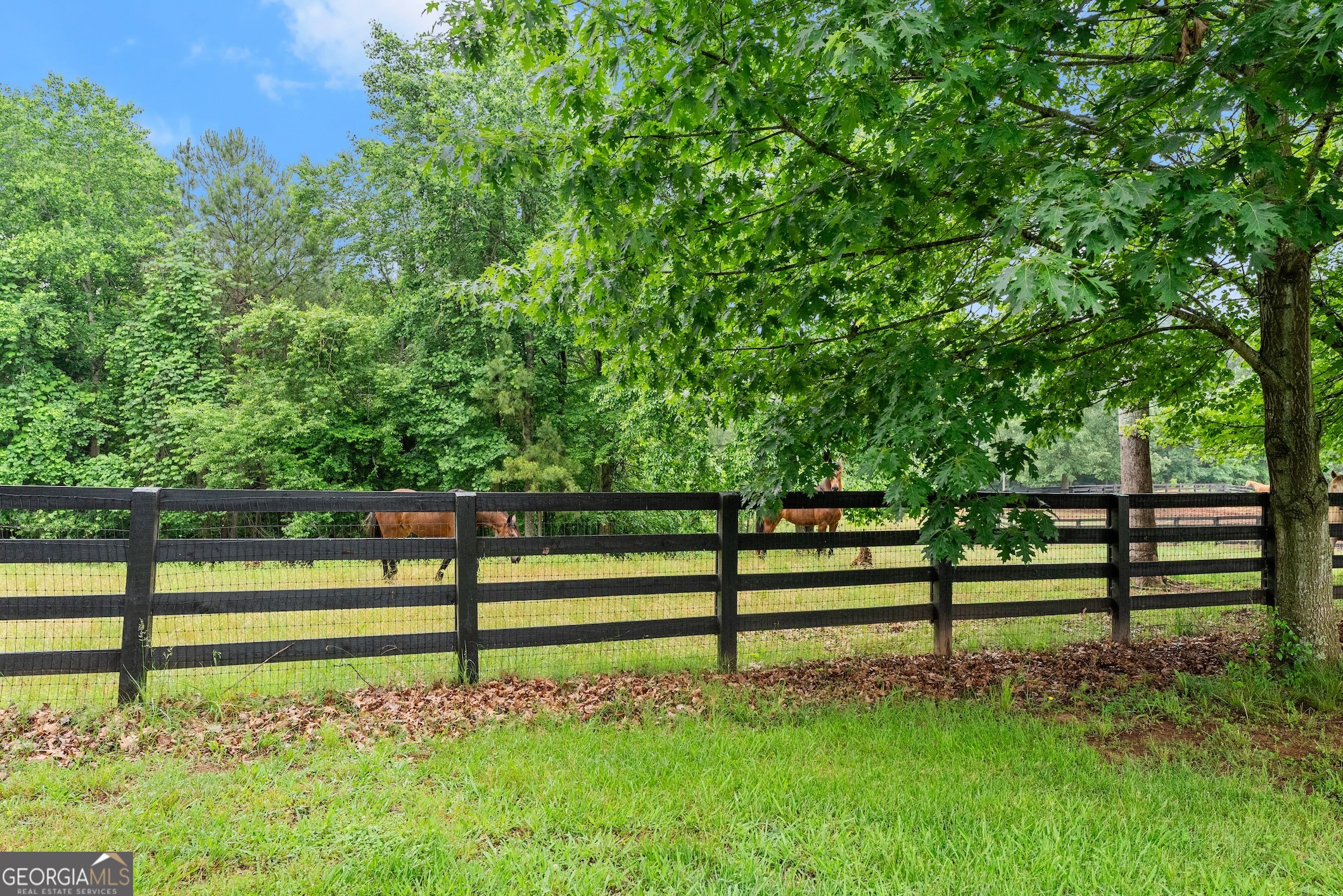 7215 Kelly Bridge Road Dawsonville, GA 30534 - Photo 49 of 81