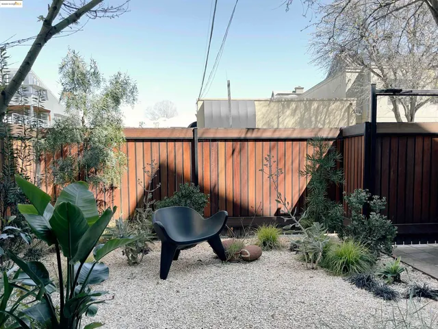 a living room with furniture rug and a potted plant
