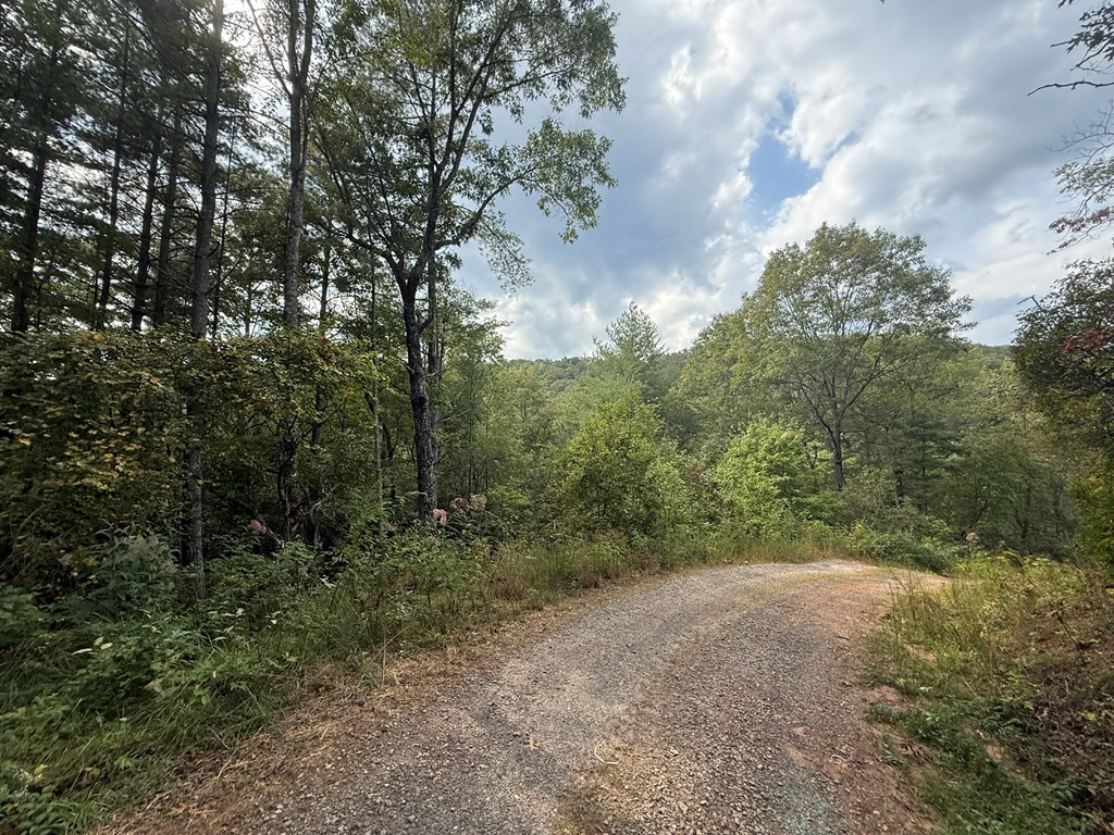 0 Mundy Road Marble, NC 28905 - Photo 10 of 12 Gallery Image 10