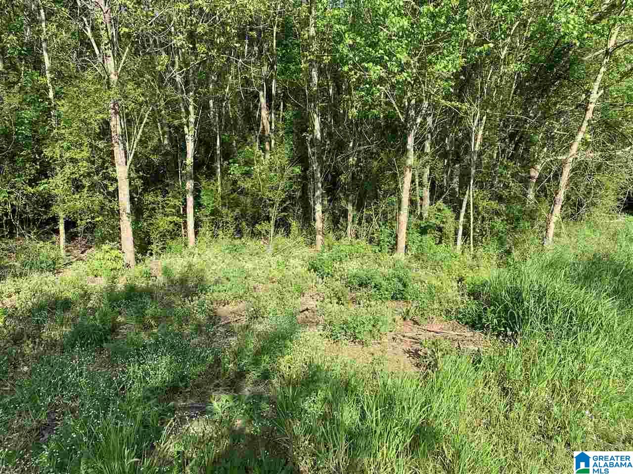 0 Highway 11 Springville Al, Unit 30 Springville, AL 35146 - Photo 4 of 6