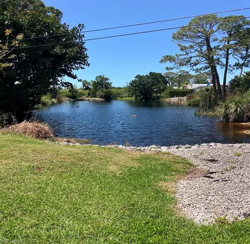 a view of a yard with plants and large trees