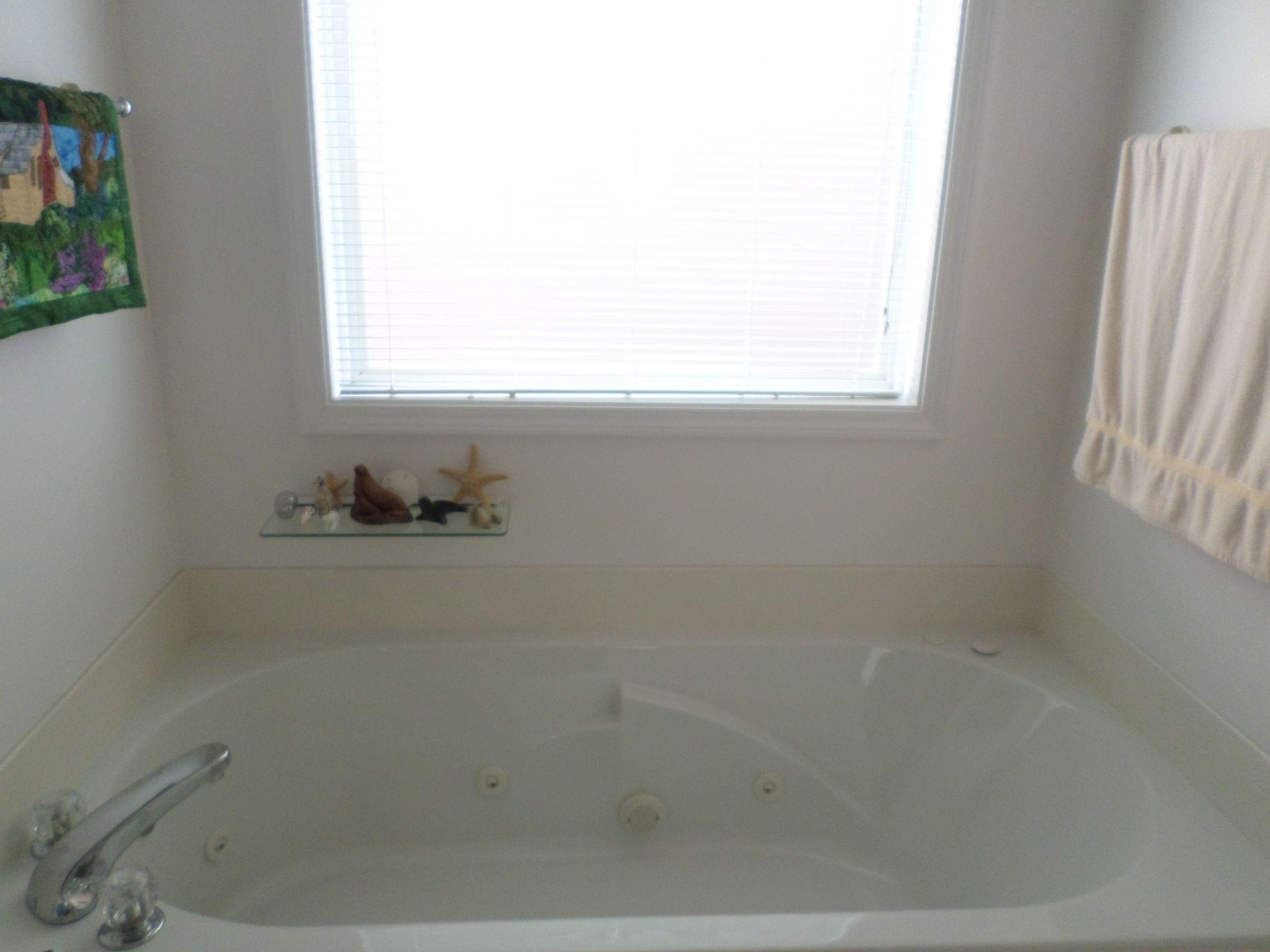 110 Donner Court Oak Ridge, TN 37830 - Photo 14 of 22 master bath tub