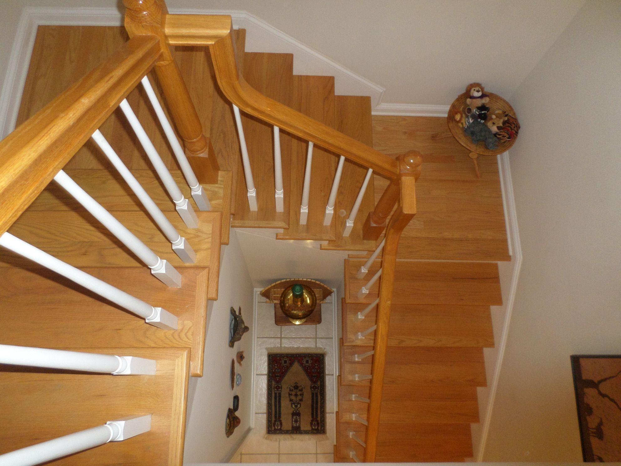 110 Donner Court Oak Ridge, TN 37830 - Photo 20 of 22 stairs down