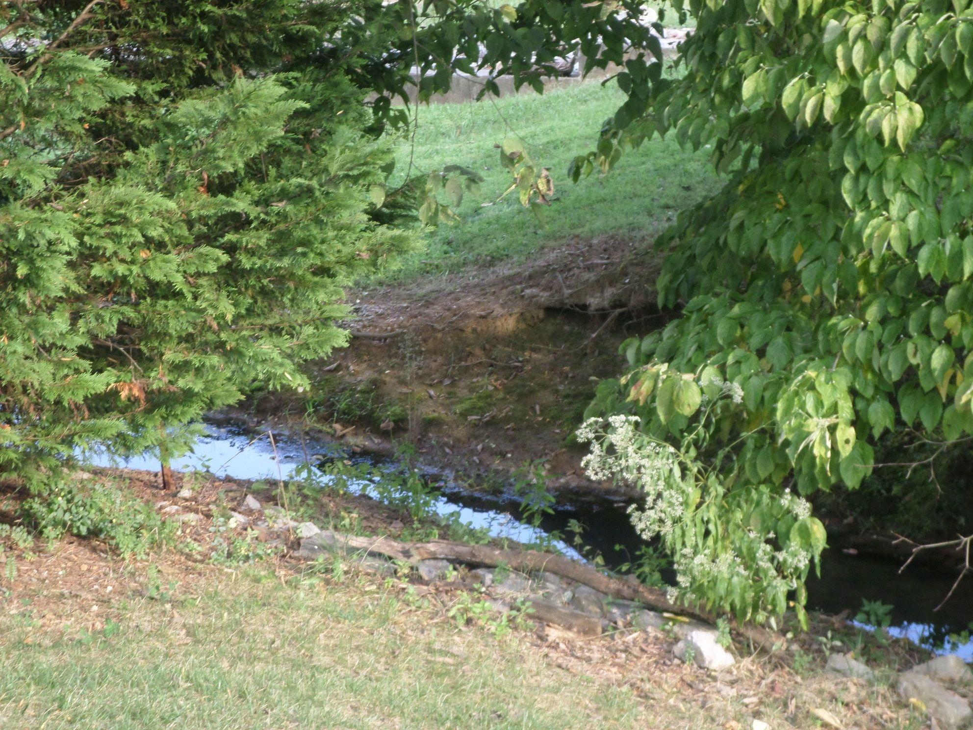110 Donner Court Oak Ridge, TN 37830 - Photo 22 of 22 creek
