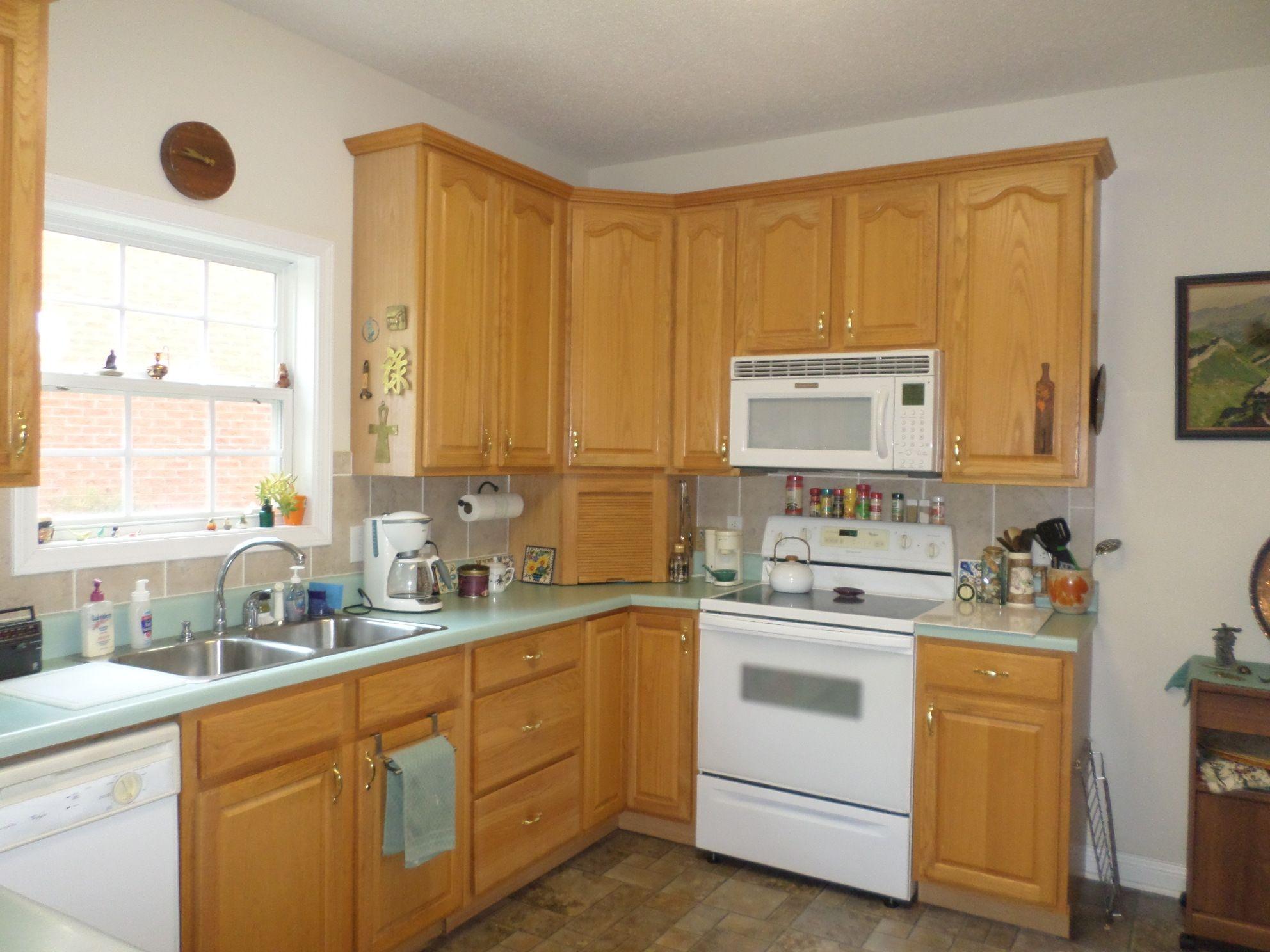110 Donner Court Oak Ridge, TN 37830 - Photo 8 of 22 kitchen