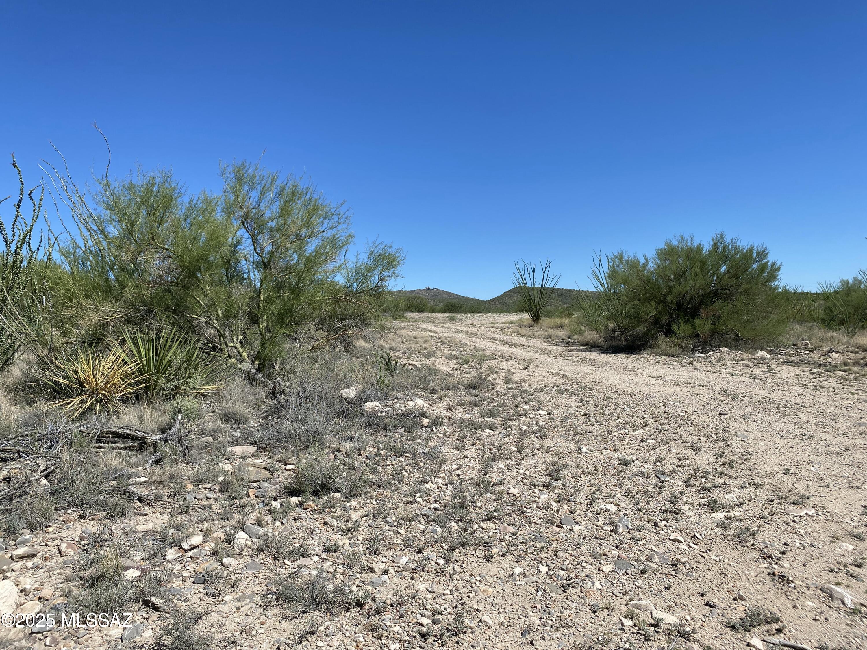 4-acres East Colossal Cave Road Vail, AZ 85641 - Photo 14 of 17 IMG_0349