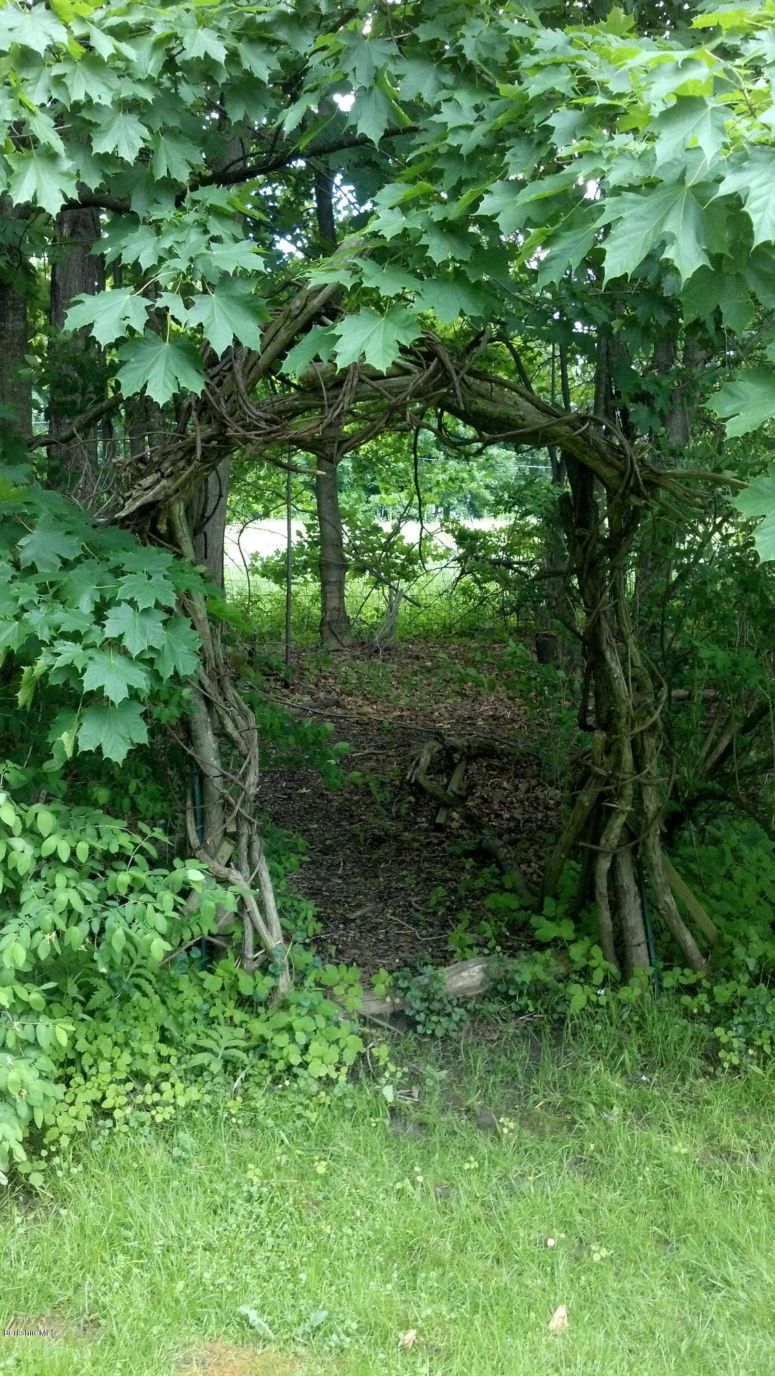1 Post Road Lenox, MA 01240 - Photo 27 of 28 Entrance to tree house