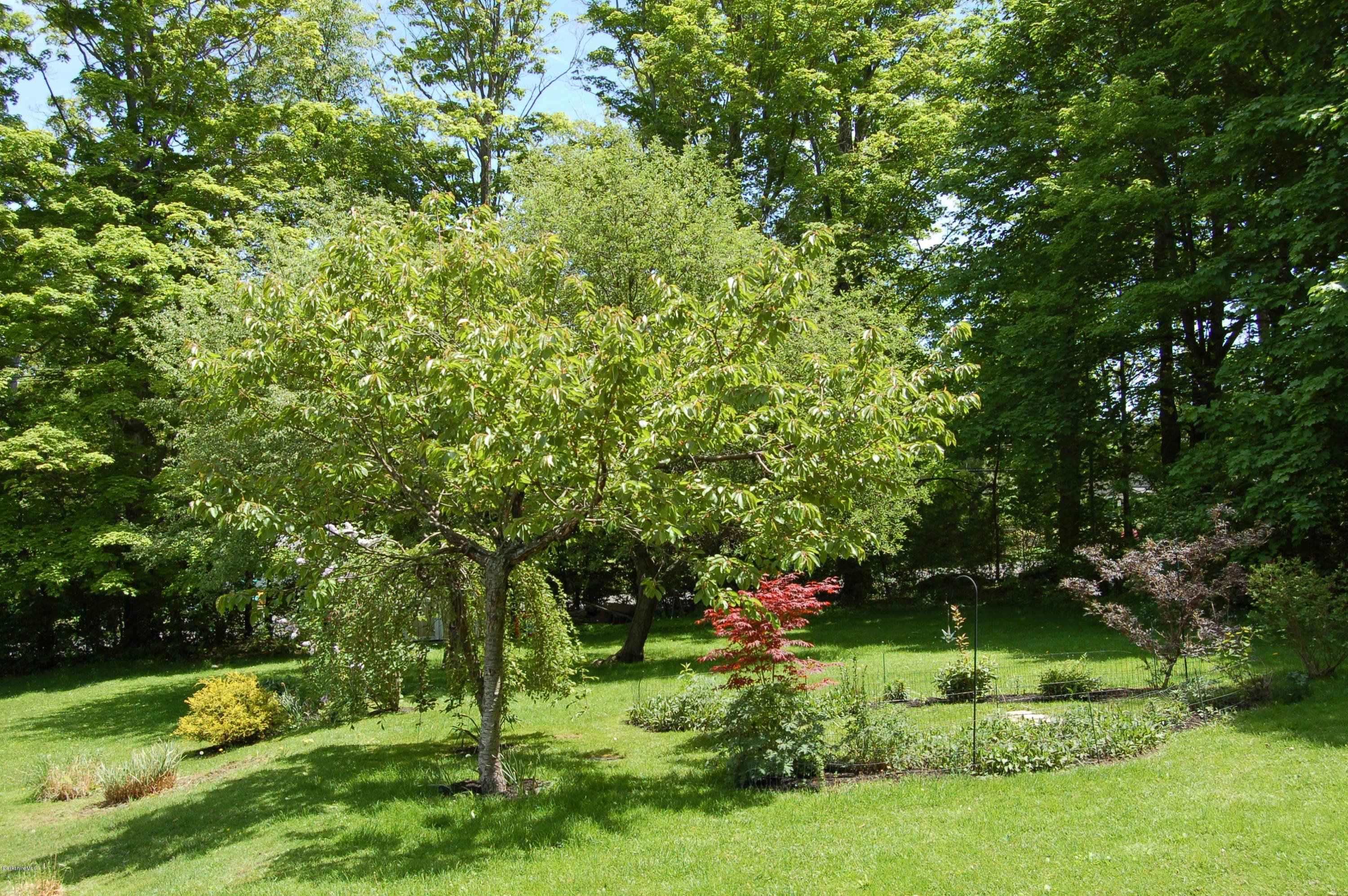 1 Post Road Lenox, MA 01240 - Photo 10 of 28 Back yard