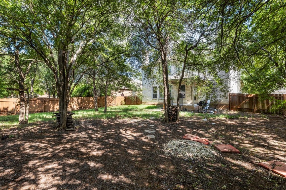 3702 Tall Cedars Road Cedar Park, TX 78613 - Photo 33 of 34 a view of a tree in the middle of a yard
