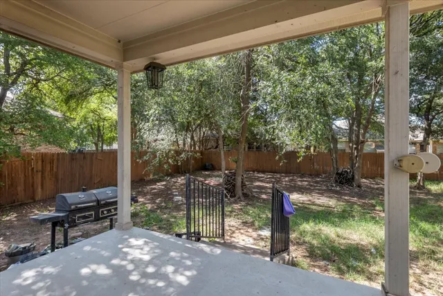 a view of a trees in a yard