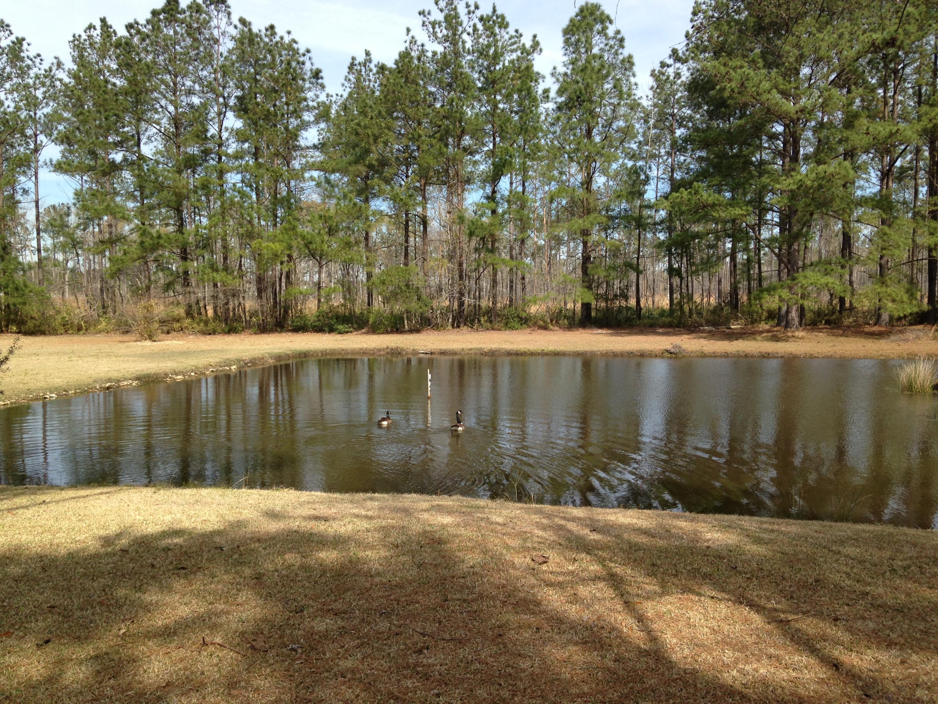 1398 Cooper Store Road Moncks Corner, SC 29461 - Photo 39 of 40 IMG_2911