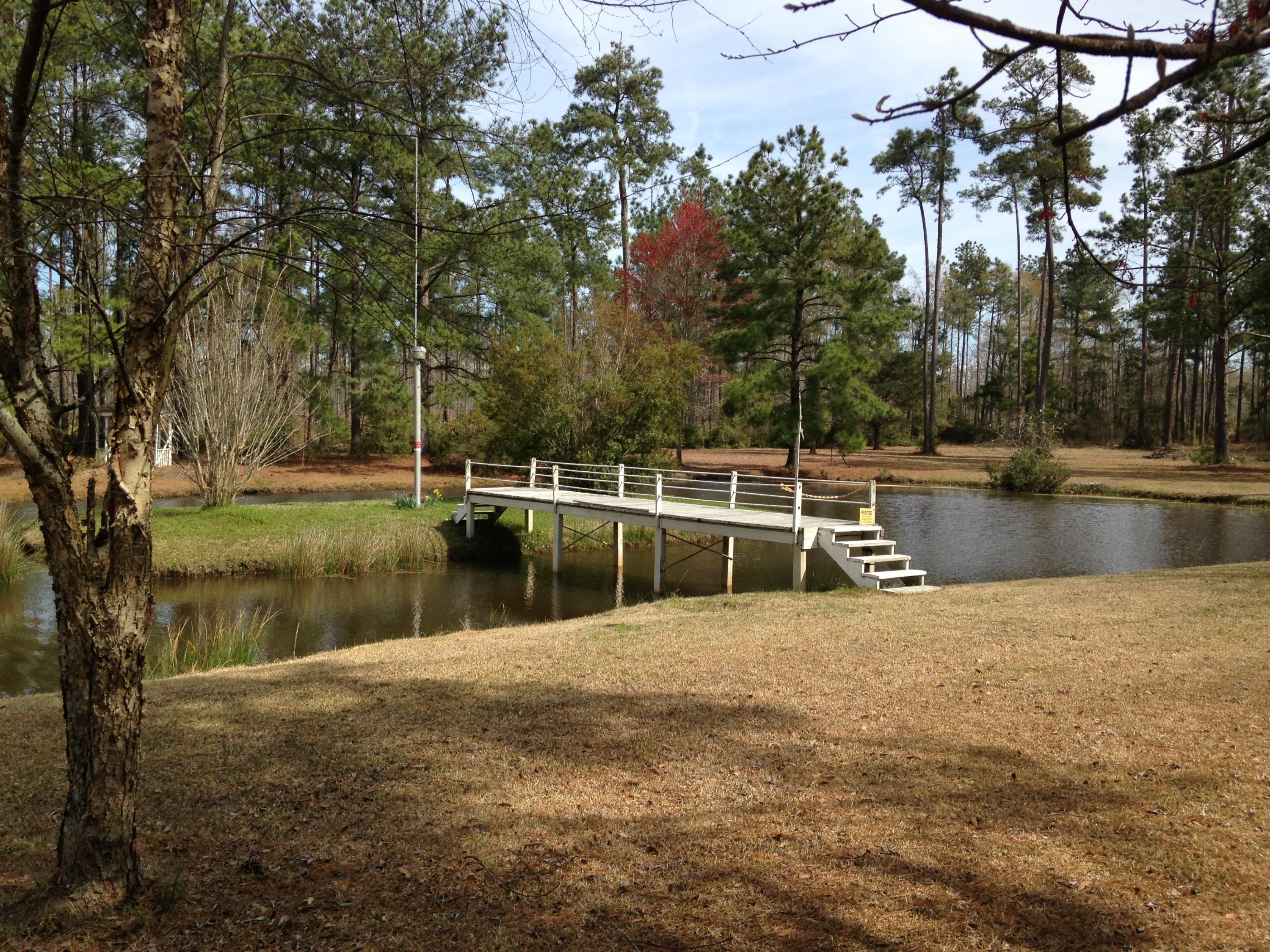 1398 Cooper Store Road Moncks Corner, SC 29461 - Photo 40 of 40 IMG_2912