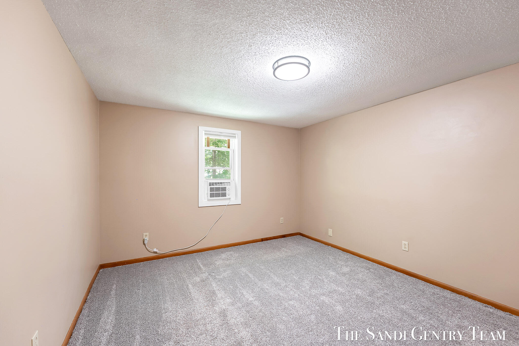 17771 148th Avenue Spring Lake, MI 49456 - Photo 22 of 33 AIV00156 (4)