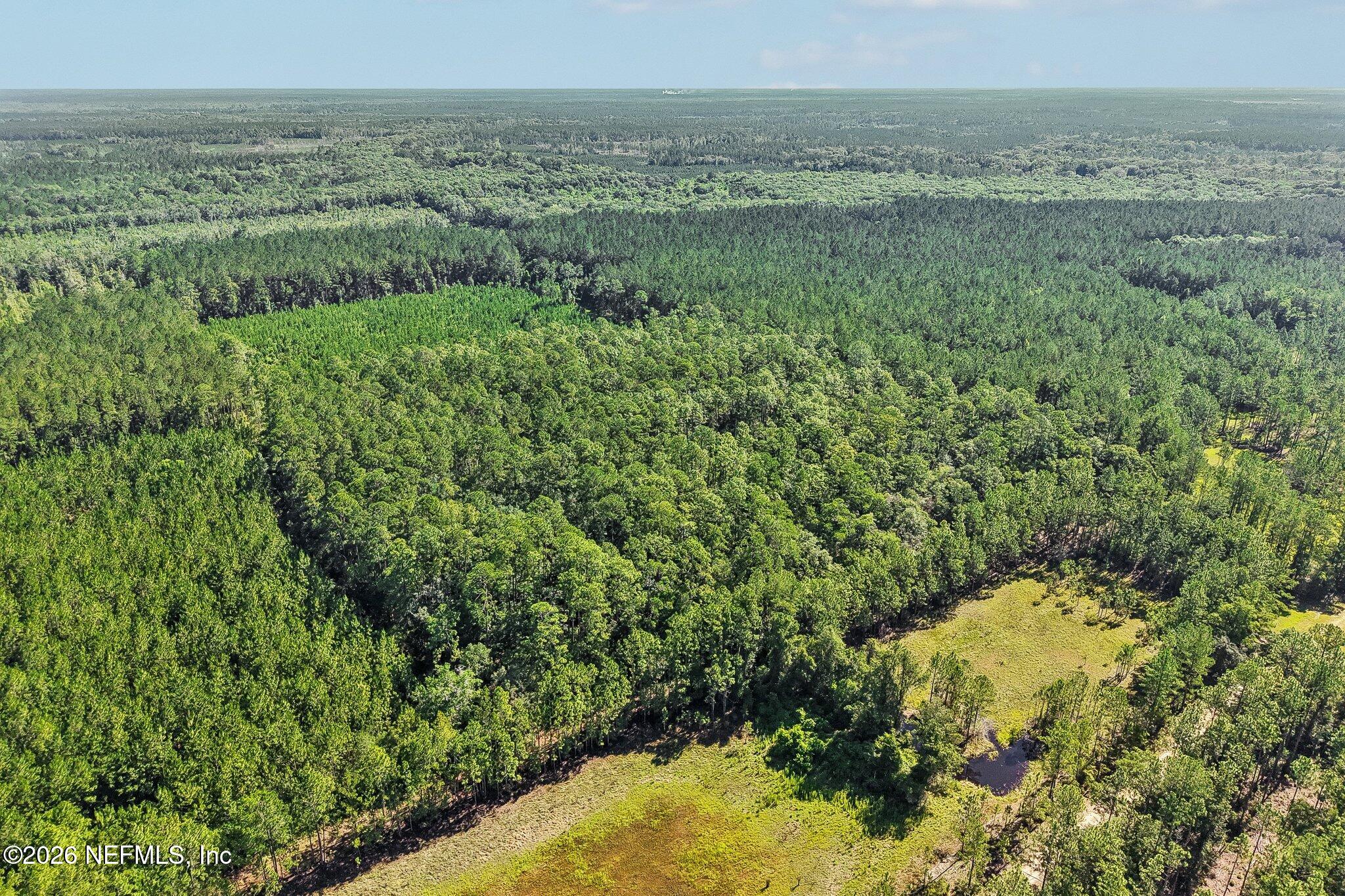 0 Coopers Neck Road Hilliard, FL 32046 - Photo 4 of 15 2-web-or-mls-Coopers Neck Rd-S2506-002