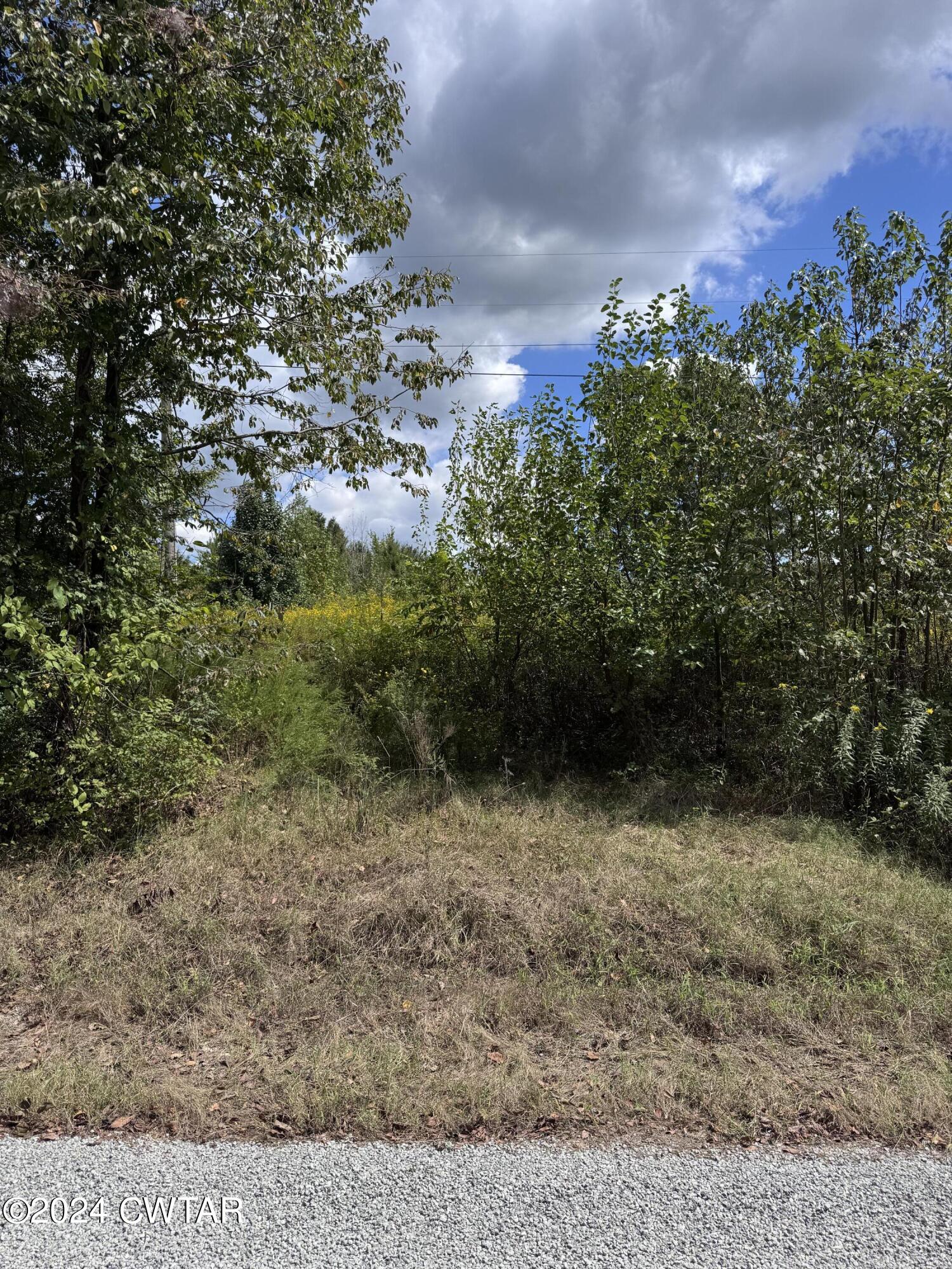 555 Charlie Lewis Road Trenton, TN 38382 - Photo 6 of 11 a view of a yard