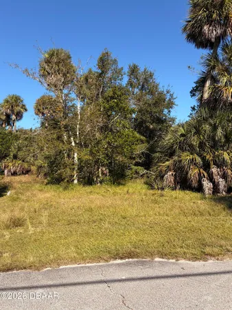 $50,000 | 257 Laws Lane, Ormond Beach, FL 32174