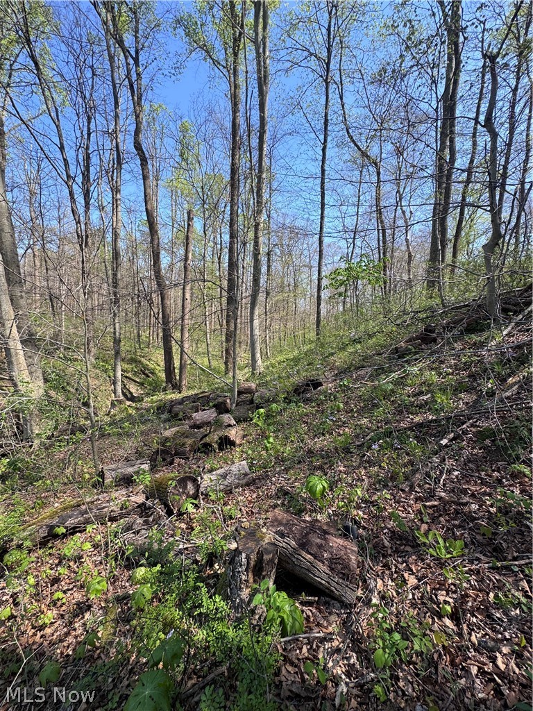 397 South Elliott Road Malta, OH 43758 - Photo 21 of 37