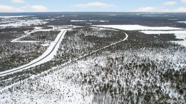 $900,000 | 0 East Railroad, Grayling, MI 49738