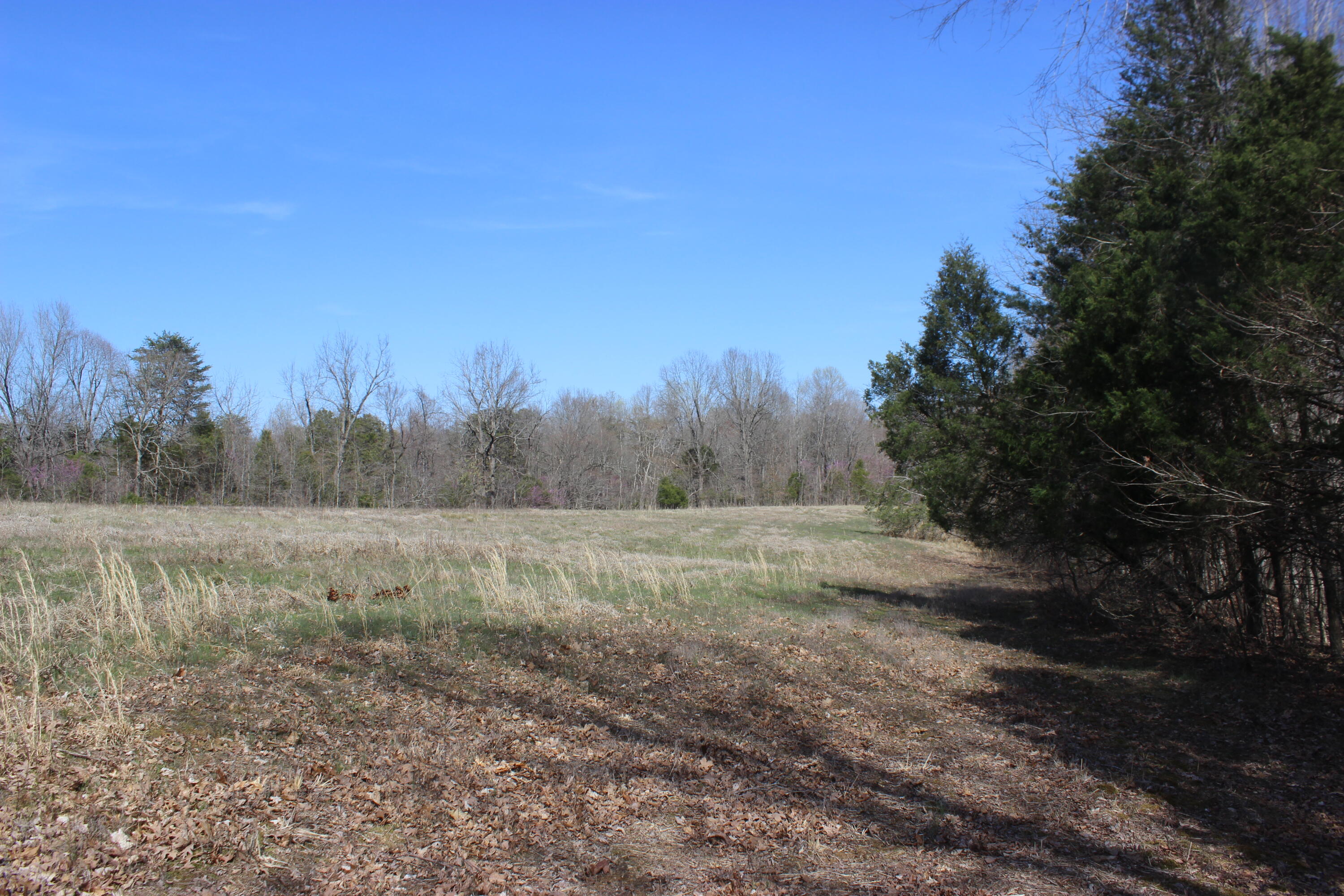 0 Edwards Road Princeton, KY 42445 - Photo 26 of 33 IMG_7664
