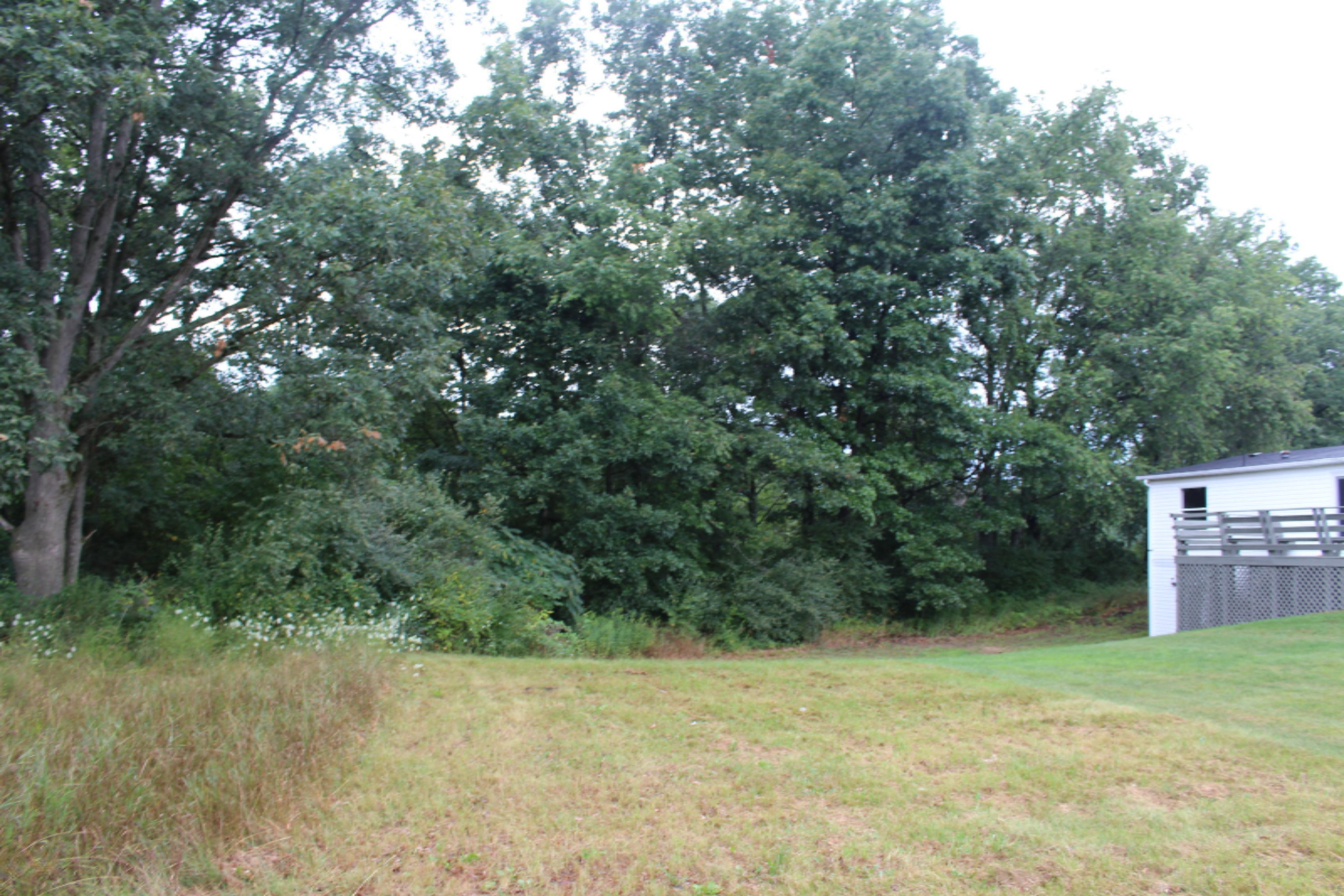 9641 Wise Road Greenville, MI 48838 - Photo 24 of 27 IMG_1749