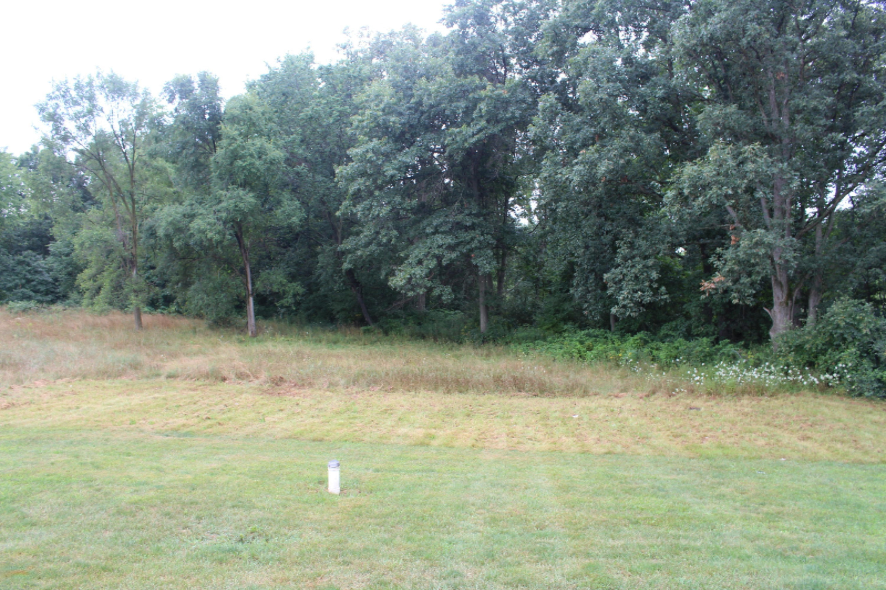 9641 Wise Road Greenville, MI 48838 - Photo 4 of 27 IMG_1747