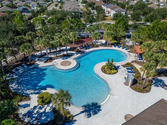 a view of a swimming pool with some plants and large trees