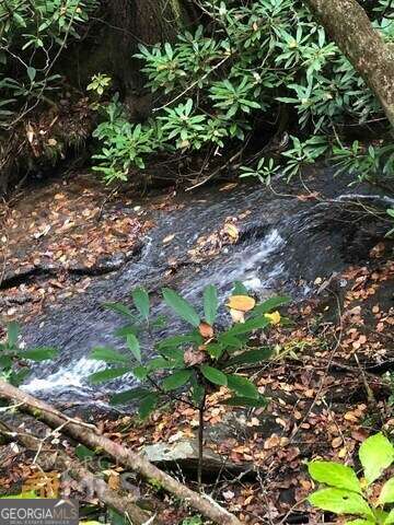 0 Allen Cove Road Rabun Gap, GA 30568 - Photo 2 of 10 a backyard of a house with lots of green space
