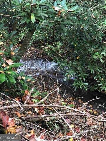 0 Allen Cove Road Rabun Gap, GA 30568 - Photo 3 of 10 a plant view