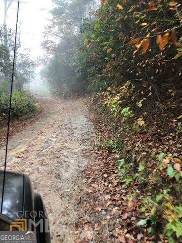 0 Allen Cove Road Rabun Gap, GA 30568 - Photo 7 of 10 a view of a dry yard with wooden fence and trees