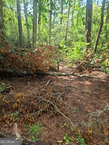 a view of a yard with plants and trees