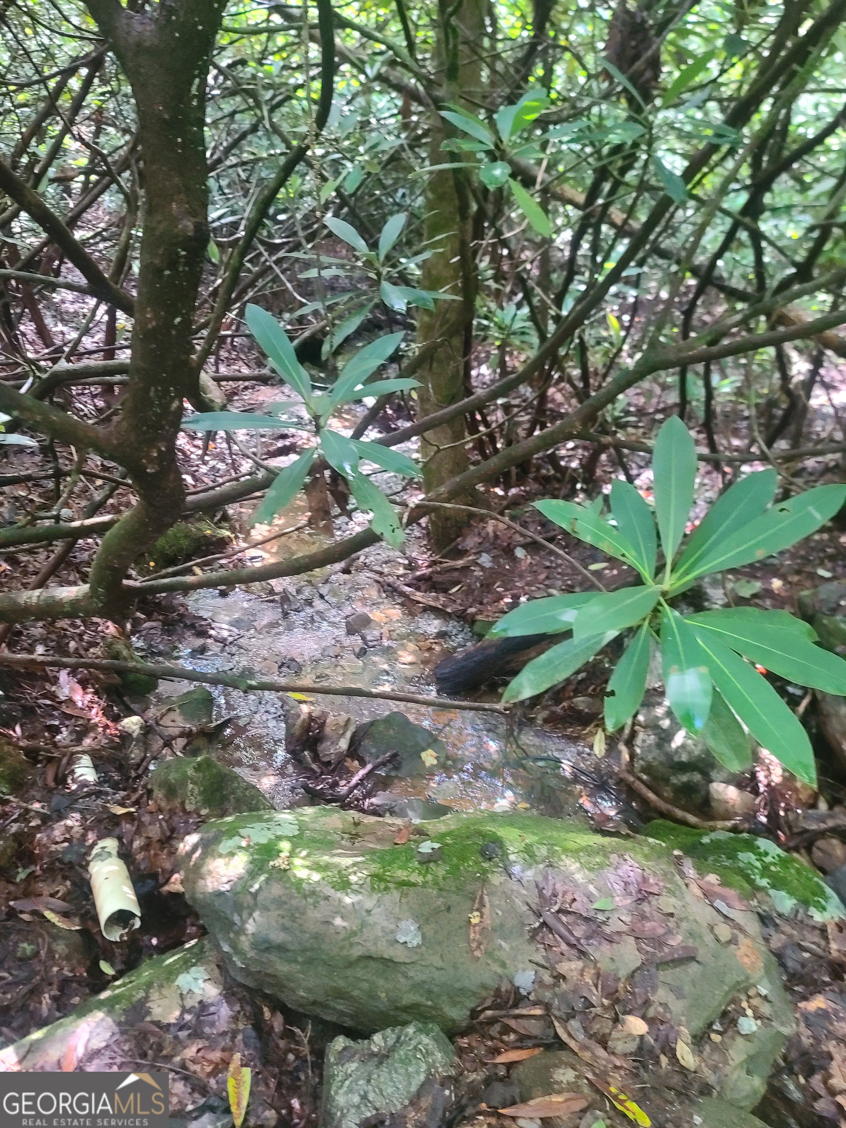 0 Allen Cove Road Rabun Gap, GA 30568 - Photo 9 of 10 a backyard of a house with lots of green space
