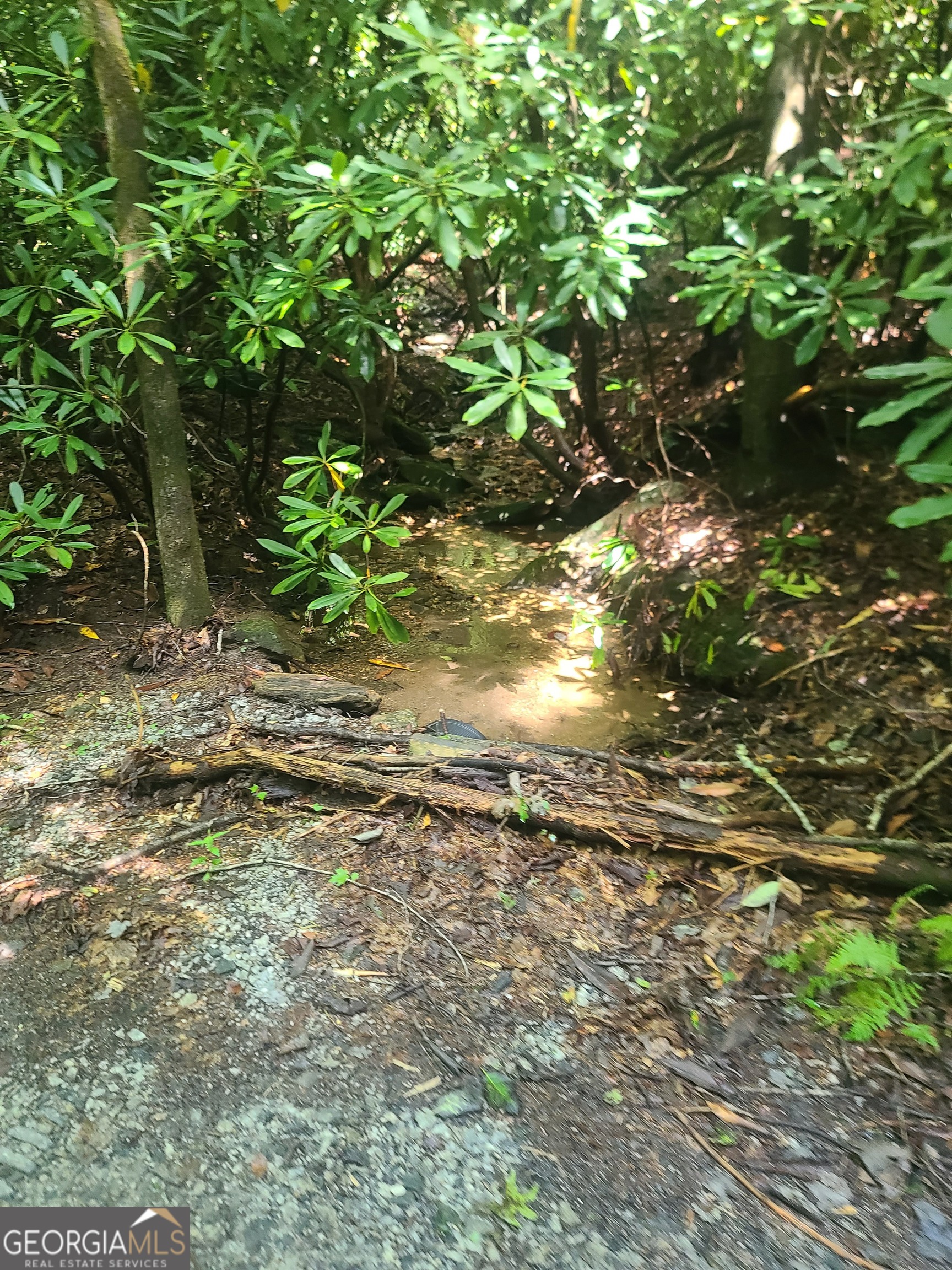 0 Allen Cove Road Rabun Gap, GA 30568 - Photo 10 of 10 a backyard of a house with lots of green space
