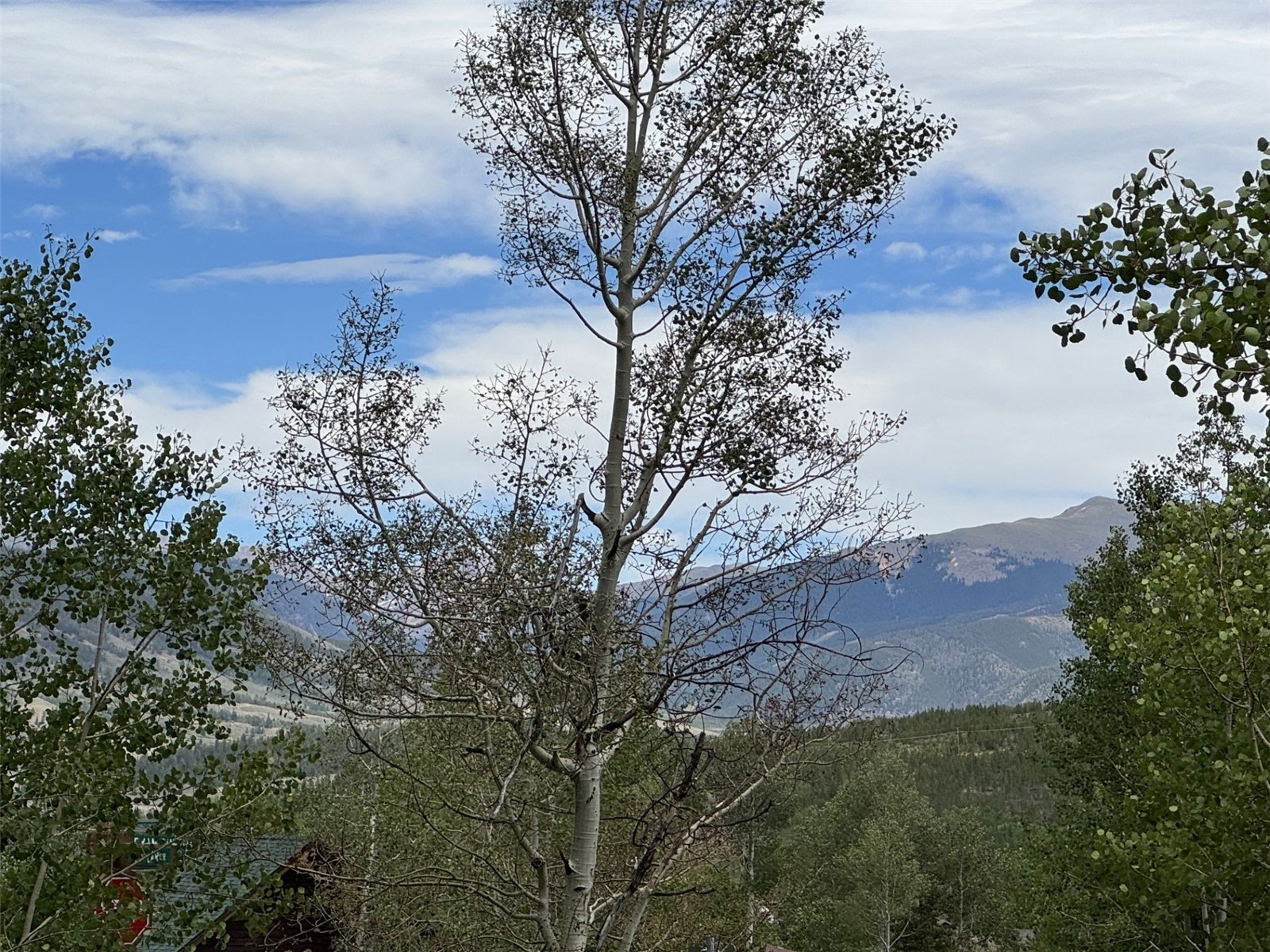 8010 Ryan Gulch Road, Unit B1 Silverthorne, CO 80498 - Photo 10 of 25