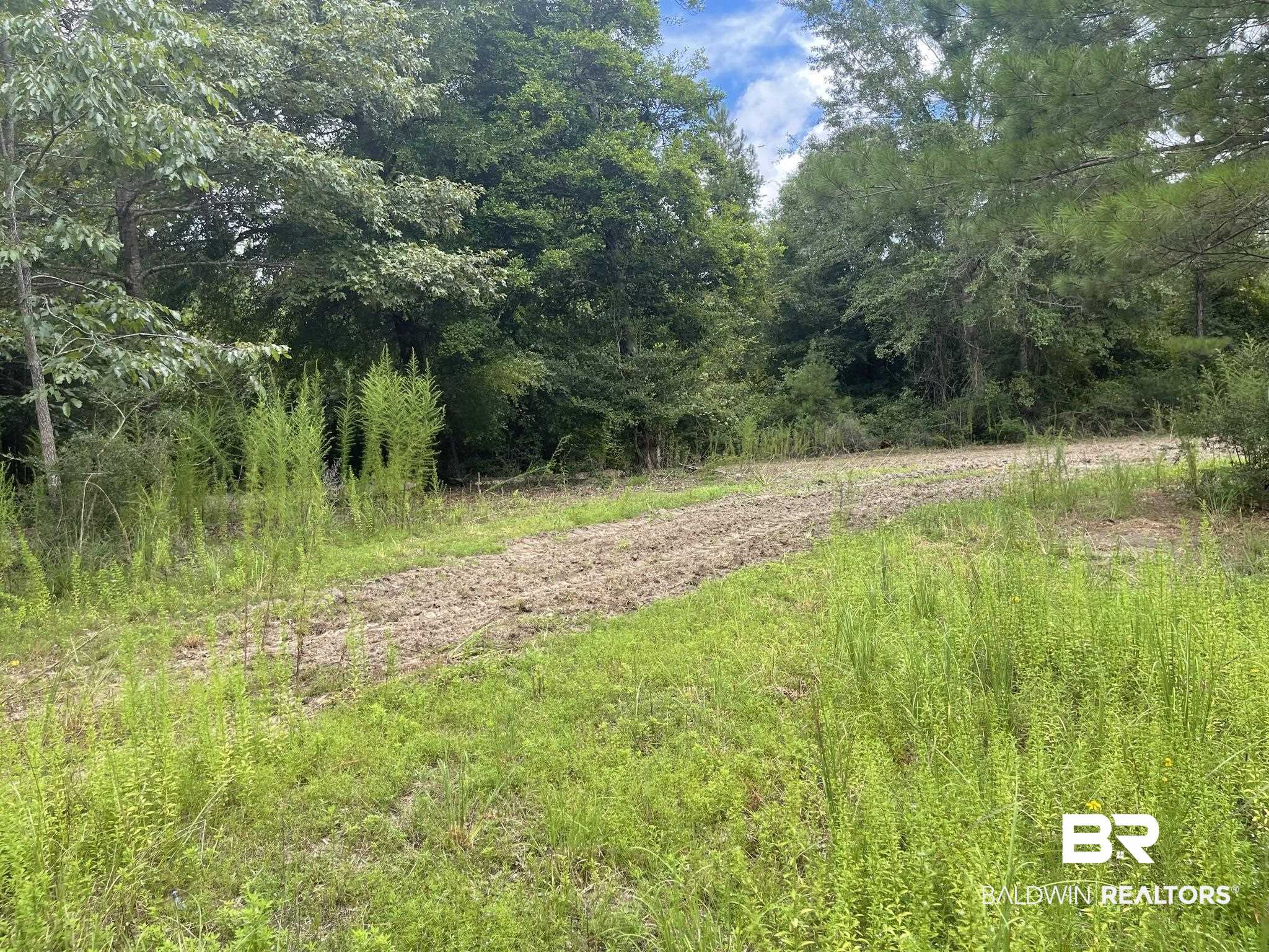 0 County Road 11 Wing, AL 36483 - Photo 16 of 37