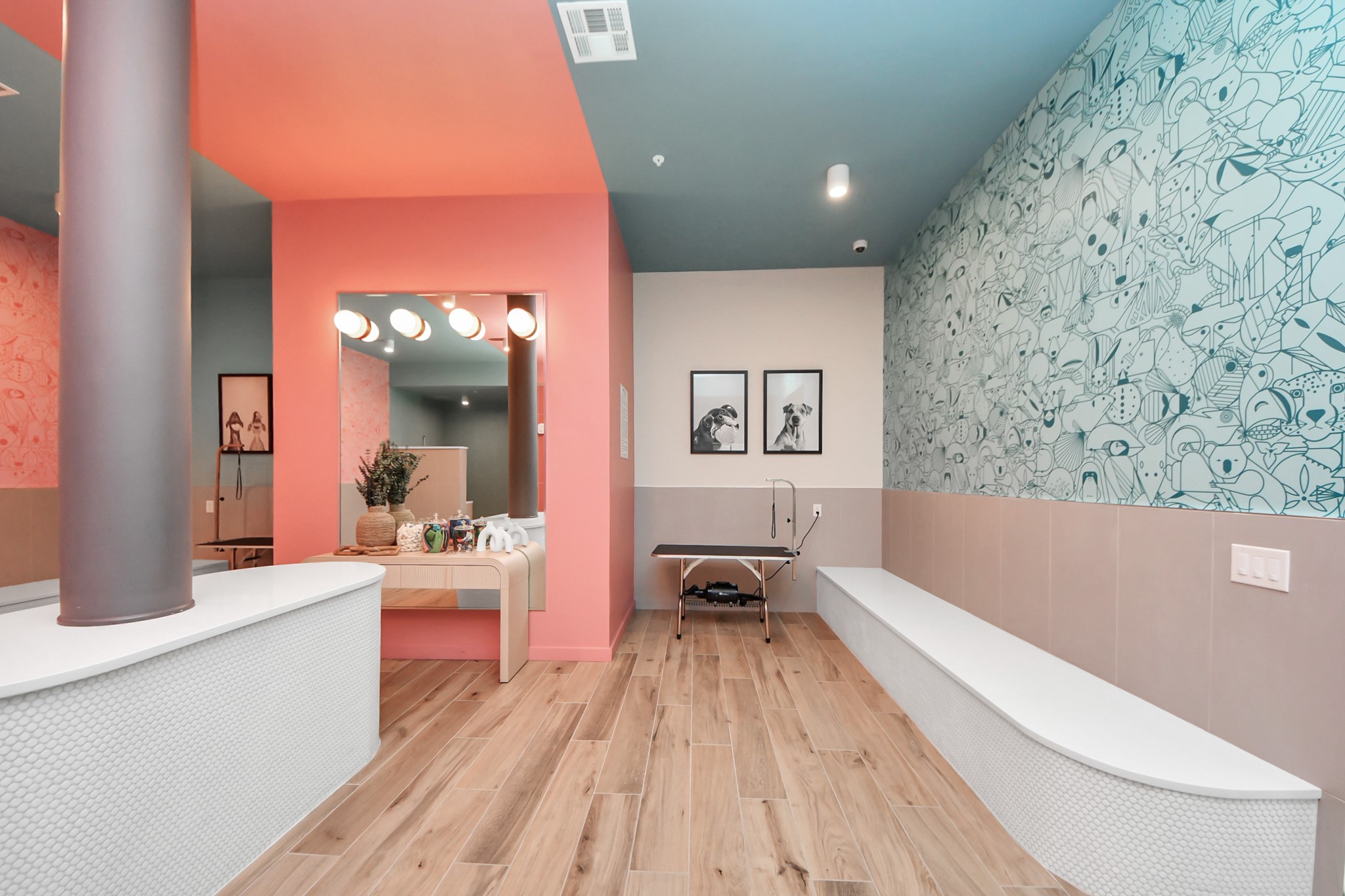 1617 Enid Street, Unit 326 Houston, TX 77009 - Photo 45 of 50 Pet Spa