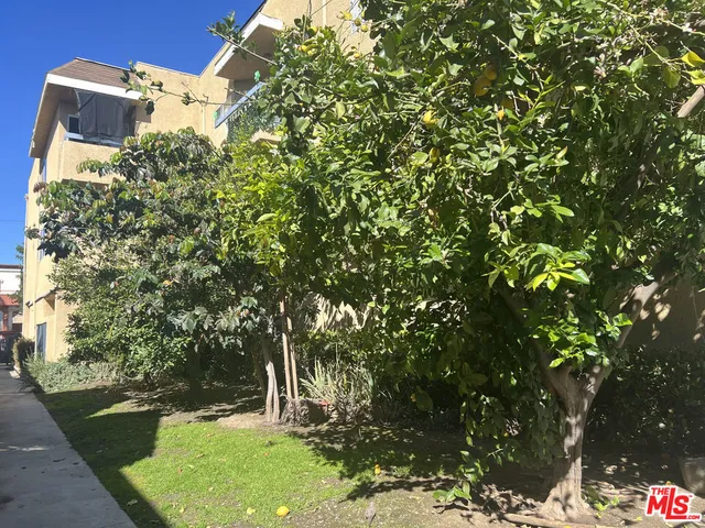 a backyard of a house with a yard and large trees