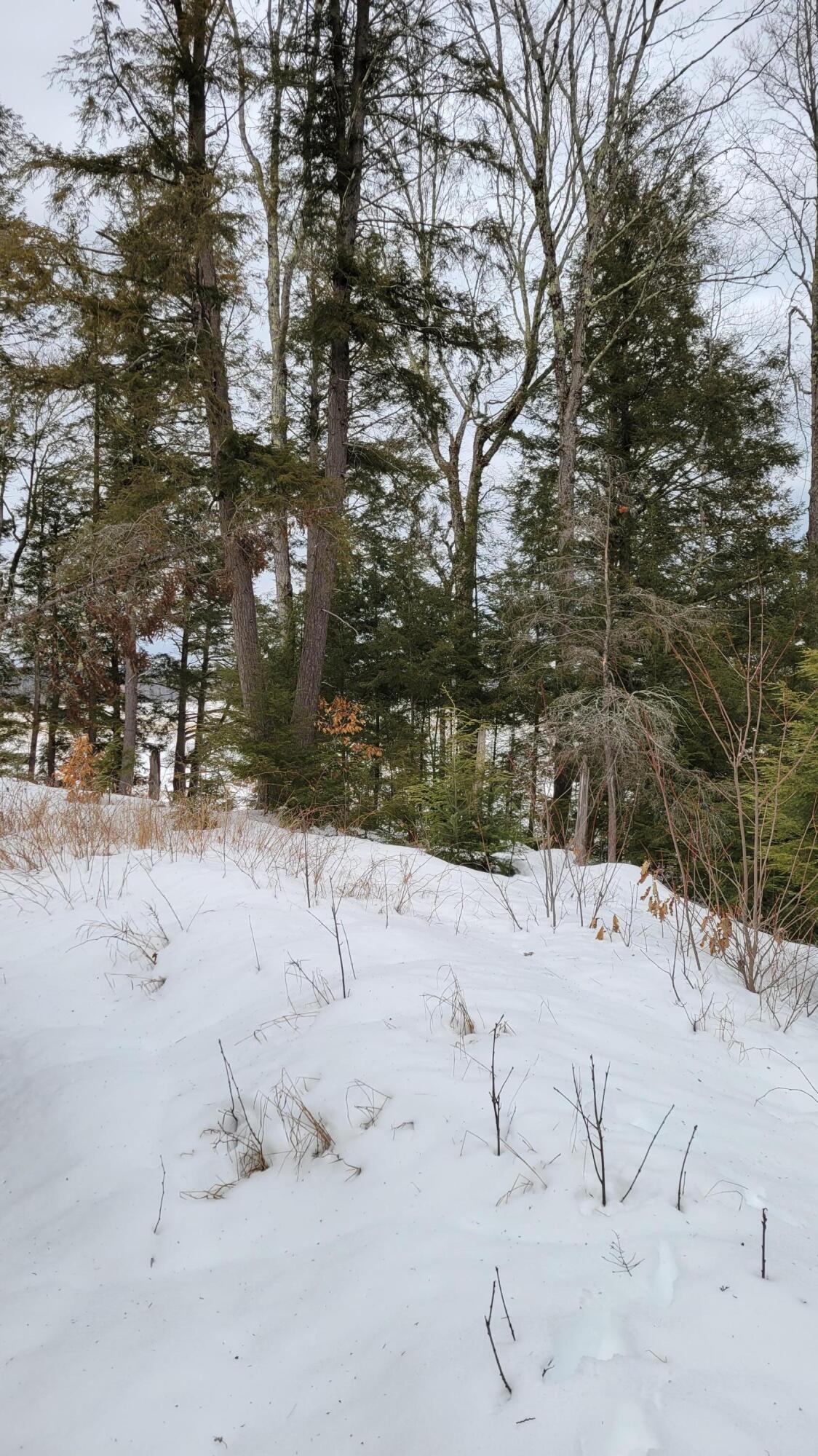 0 Range Road East Dover-Foxcroft, ME 04426 - Photo 13 of 23 Map 12 Lot 24 (12)