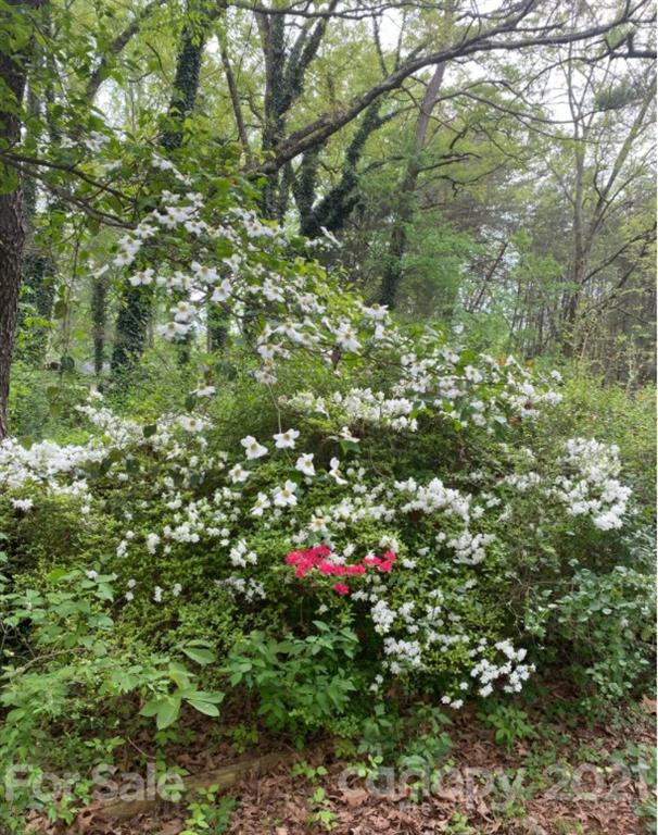 1075 Shue Road China Grove, NC 28023 - Photo 13 of 48 Gallery Image 13