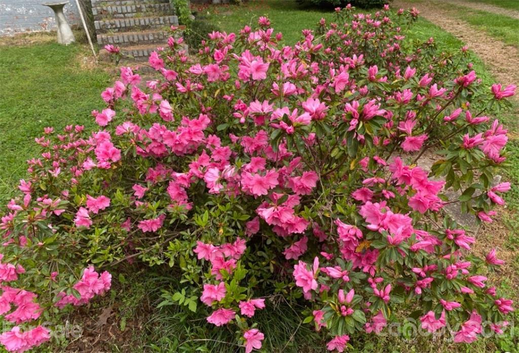 1075 Shue Road China Grove, NC 28023 - Photo 7 of 48 Gallery Image 7
