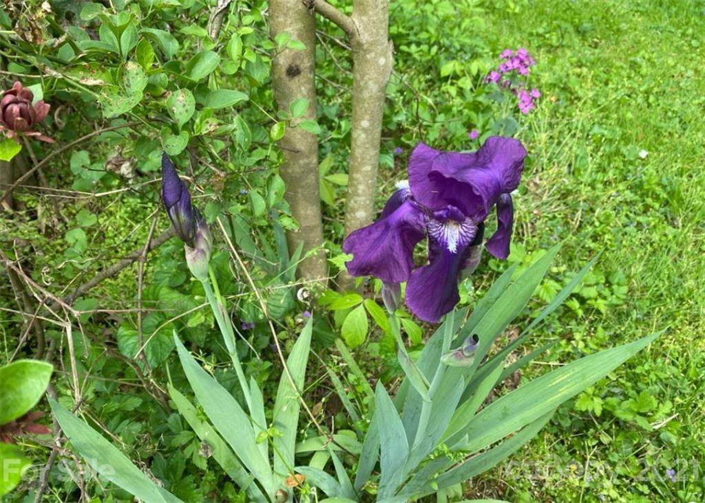 1075 Shue Road China Grove, NC 28023 - Photo 8 of 48 Gallery Image 8