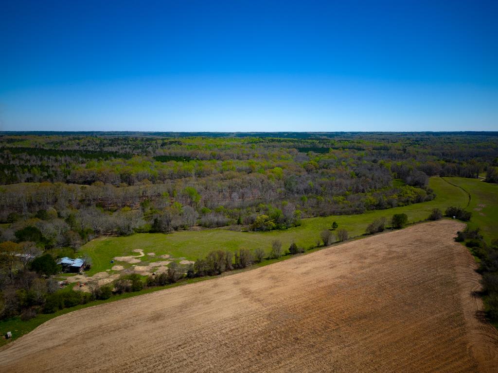 27.2-ac Barnes Mill Road Hamilton, GA 31811 - Photo 25 of 29 Gallery Image 25
