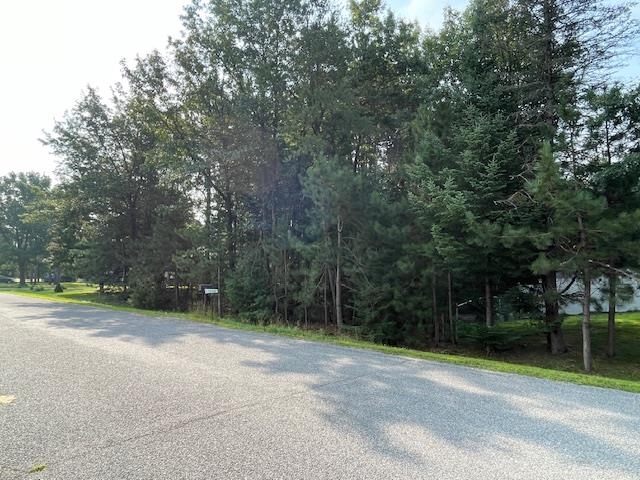 Lot 2 Plantation Lane Mosinee, WI 54455 - Photo 3 of 5