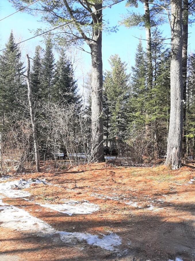 1004 Little Michael Brook Road Kingfield, ME 04947 - Photo 3 of 12 Yard